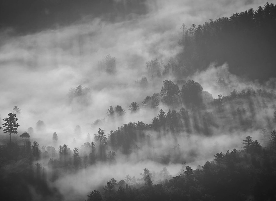 Mist settling over a forested valley